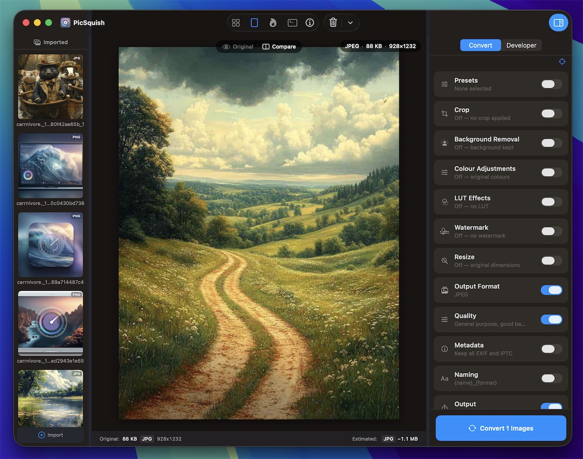 PicSquish canvas view showing image preview with conversion settings