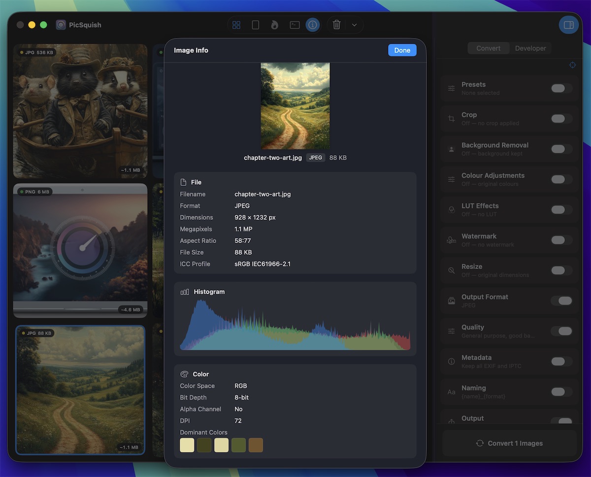 PicSquish info panel showing image details and conversion settings