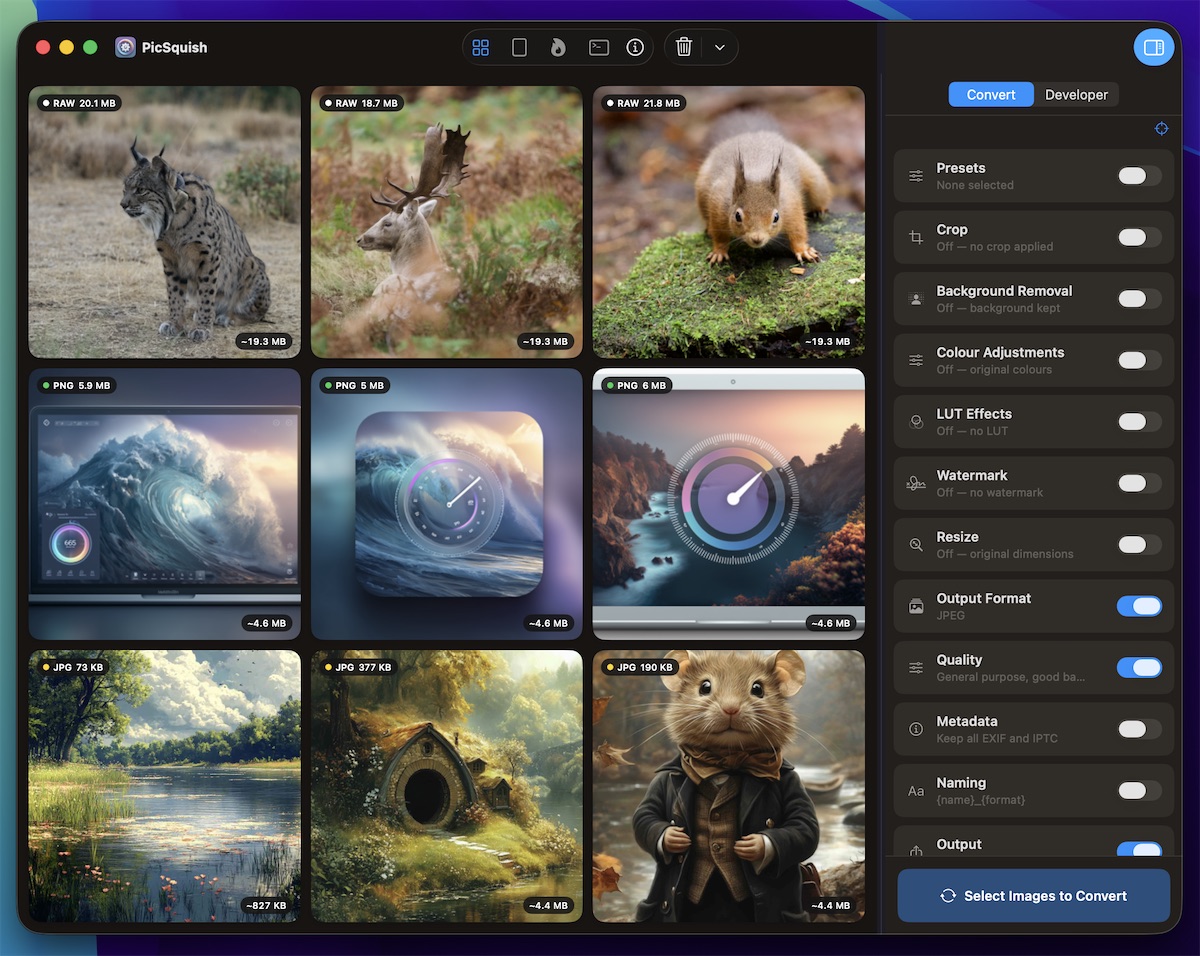 PicSquish main catalogue view