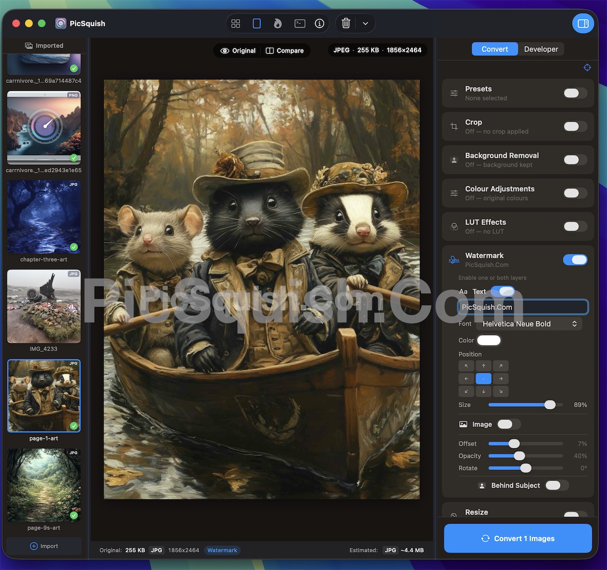 PicSquish design tools showing watermark, crop, and colour adjustment controls